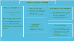 Week 37: Second to Last Week